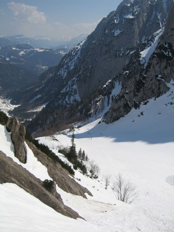 2009-04-13 Stripsenkopf (15)